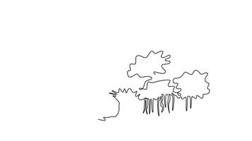 yo dibujo animación soltero línea dibujar sombreado y frondoso secretario árbol pared decoración hogar póster impresión. decorativo ficus benghalensis planta para nacional parque logo. continuo línea dibujar. lleno longitud animado video