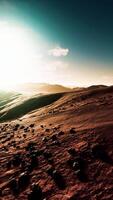 Beautiful sand dunes in the Sahara desert at sunset video