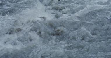 ein Person ist Stehen auf ein Surfbrett im das Wasser video