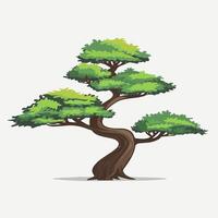 un estilo plano bonsai árbol en un llanura blanco antecedentes vector