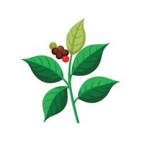 Charming Coffee Plant Adding Aroma to Garden vector