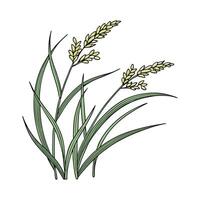 Elegant Japanese Sedge Design on Bright White vector