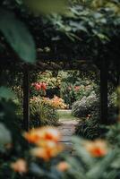 Lush Garden Pathway Surrounded by Vibrant Flowers and Greenery in a Serene Outdoor Setting photo