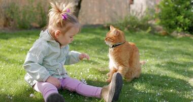 peu enfant fille séance avec sa gingembre chat dans printemps jardin video