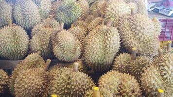 Durian is available in the market in large quantities. thailand video