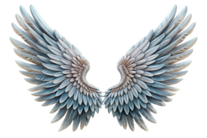 Majestic Pair of Serene Blue Angel Wings with Detailed Feather Texture png