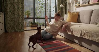 Woman sitting on floor playing with pet dog video