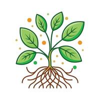 Role of Beneficial Bacteria in Plant Root Systems vector