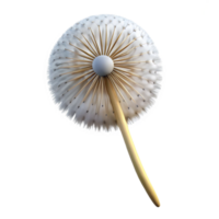 magnifique moderne Célibataire pissenlit la graine diriger, détaillé png