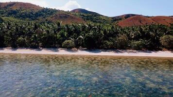 aéreo Visão do costeiro tropical beleza e turquesa águas dentro Ásia Filipinas video