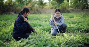 Handheld shot, Two Asian gardeners chatting happily while using a shovel to weed watermelon fields in the cold morning air. Winter activity. video