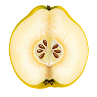 A close up view of a cut quince fruit revealing its seeds and pale yellow flesh on a plain setting transparent background png