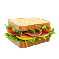 recién hecho emparedado con lechuga y tomate png