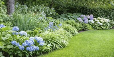 A garden with blue and green flowers photo