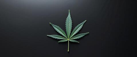 A leaf of marijuana is on a black background. photo