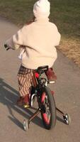 verticale enfant équitation vélo avec formation roues dans parc pendant ensoleillé journée video