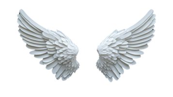 Beautifully crafted white wings symbolizing freedom, spirituality, and hope. Perfect for artistic and inspirational themes. png