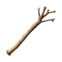 naturale di legno ramo con multiplo germogli, in mostra suo biologico struttura e modulo png