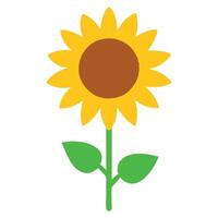 Simple, stylized sunflower illustration with green leaves, perfect for various designs. vector