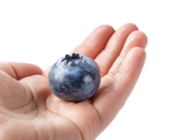 fresco mirtillo tenuto nel un' mano per salutare merenda idee png