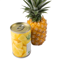 totale ananas Il prossimo per un' può di ananas pezzi su trasparente sfondo png