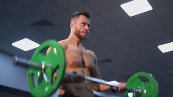 torse nu athlète pompage muscles avec une haltère. sportif Faire musculation exercice dans aptitude salle de sport. en bonne santé mode de vie. fermer. video