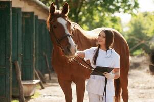 Holding ,notepad... Female vet is with horse outdoors at the farm at daytime photo