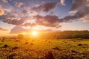 pacífico prado paisaje con puesta de sol crea sereno humor. idílico rural escena para carteles, calendarios, naturaleza temas y antecedentes. foto